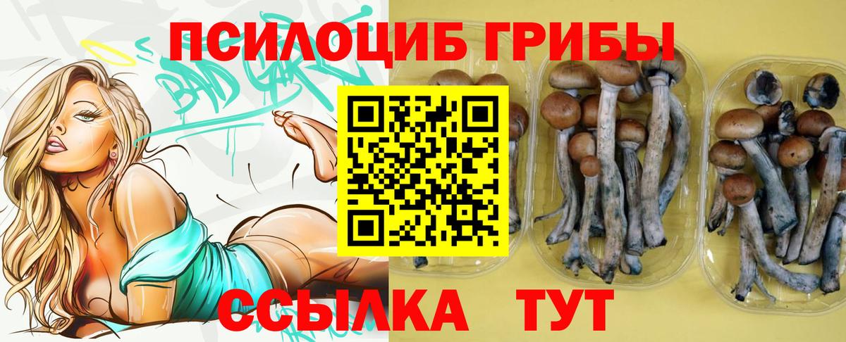 Галлюциногенные грибы Psilocybe Кудымкар
