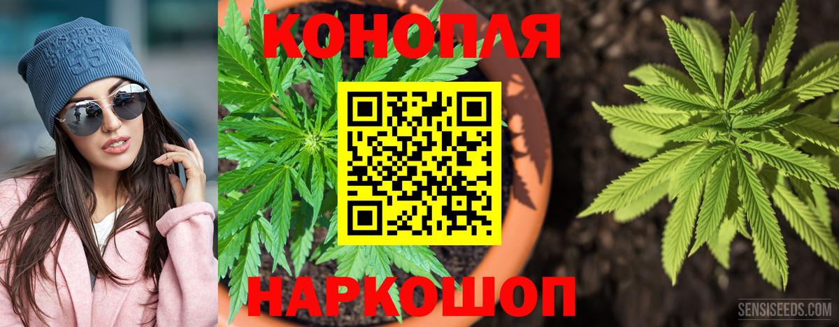 Бошки марихуана Bruce Banner  Вход с VPN  Кудымкар  МАРИХУАНА конопля  Марихуана MAZAR 